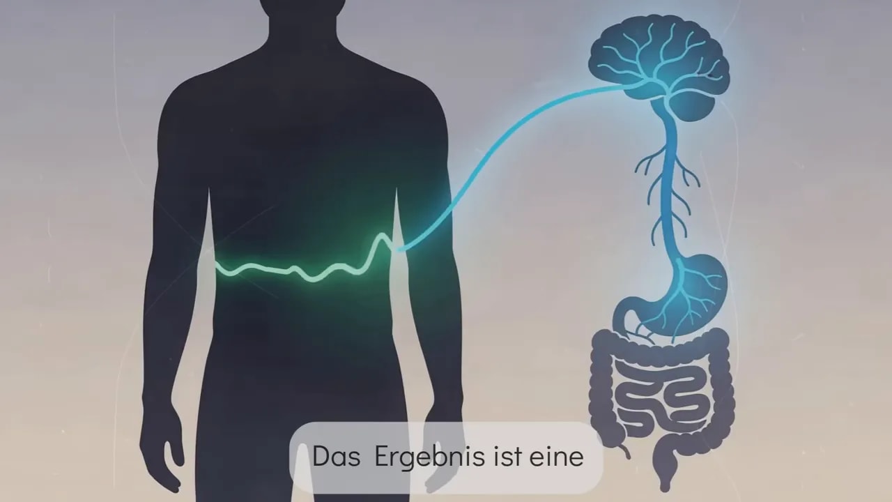 Illustration des Körpers mit Magen-Darm-Trakt und beruhigtem Signalverlauf