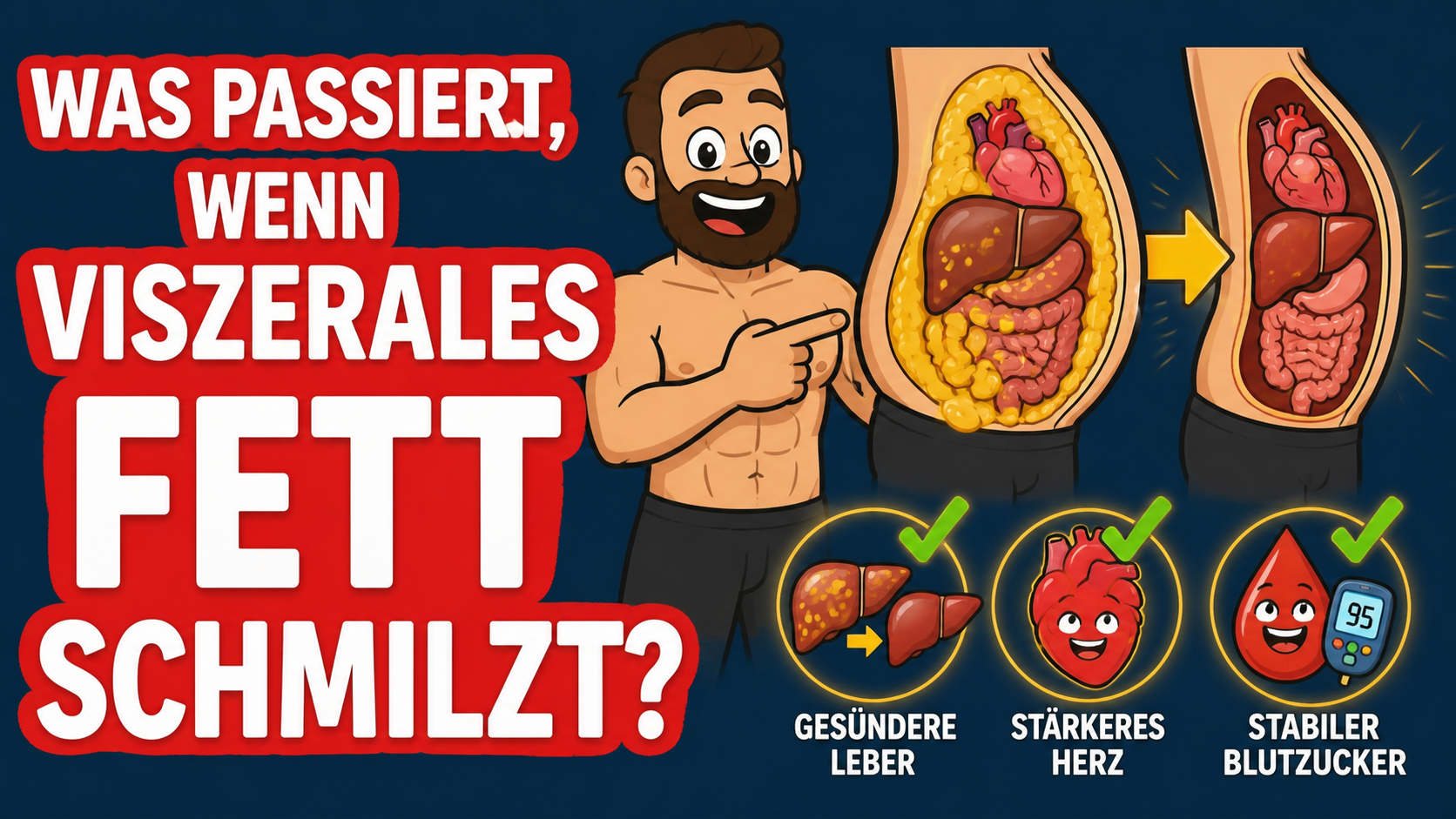Was passiert, wenn viszerales Fett endlich abgebaut wird? (wissenschaftlich erklärt)
